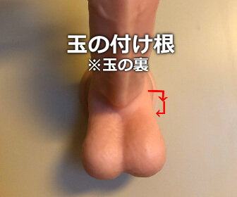 玉の付け根を舐める