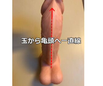 玉から亀頭へ一直線に舐める