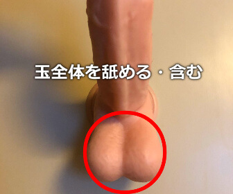 玉全体を舐める・口に含む