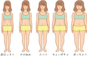 人気のある体型は?