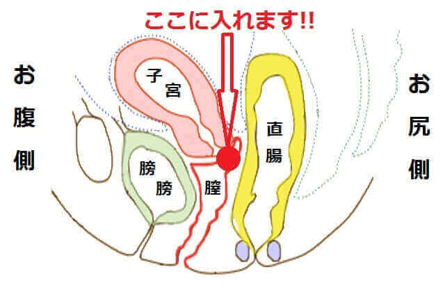 海綿を入れる場所の説明をしている画像